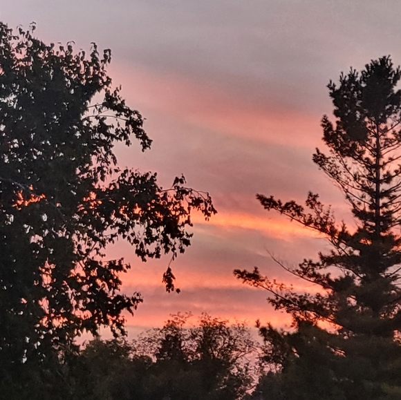 Meet your Posher, Jackie - Picture 1 of 1